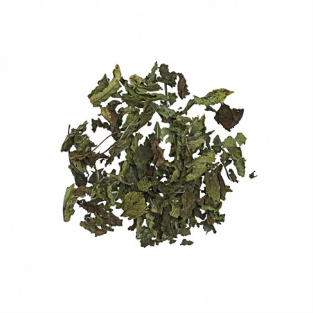 Thé Mynthe - 80g Thé Mynthe - 80g