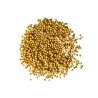 Moutarde blonde (graines) - 55g 