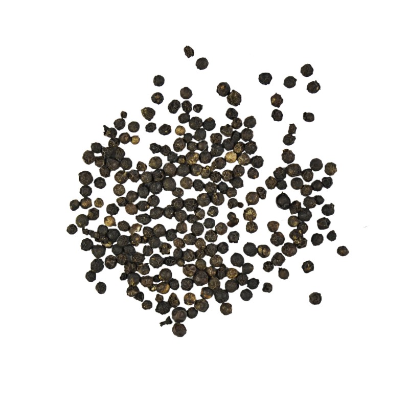 Black Peppernut of Lampong (Sumatra)