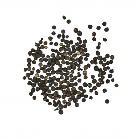 Black Peppernut of Lampong (Sumatra)