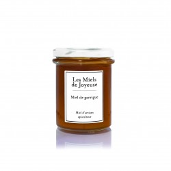 Miel de Garrigue - 250g