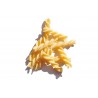 Pâtes Fusilli Benedetto Cavalieri