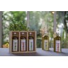 Coffret bois "terroirs d'Huiles" - 3 huiles d'olive de la Méditérranée Coffret bois "terroirs d'Huiles" - 3 huiles d'olive de la Méditérranée